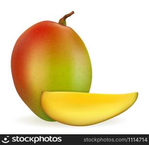 mango fresh ripe exotic fruit vector illustration isolated on white background