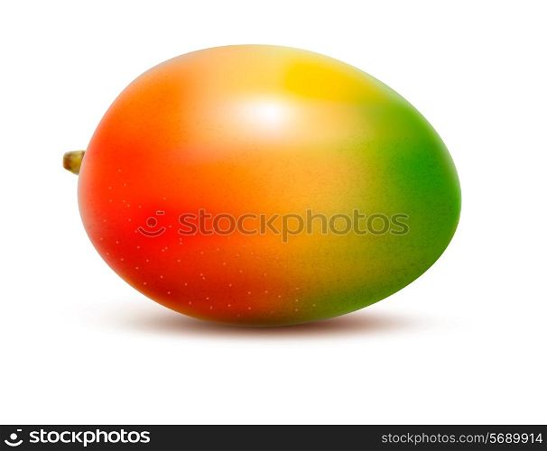 Mango isolated on white. Vector illustration