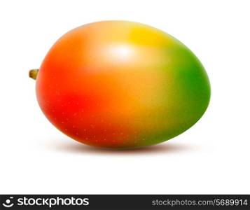 Mango isolated on white. Vector illustration