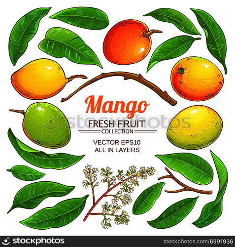 mango plant elements vector on white background