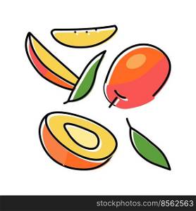 mango ripe cut leaf red color icon vector. mango ripe cut leaf red sign. isolated symbol illustration. mango ripe cut leaf red color icon vector illustration