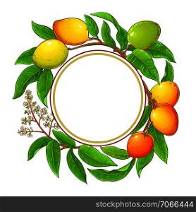 mango vector frame on white background. mango vector frame