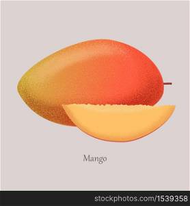 Mango vector icon , logo. Mango exotic juicy fruit whole and half. Vector illustration Mango tropical fruit on gray background.. Logo Mango exotic juicy fruit whole and half.