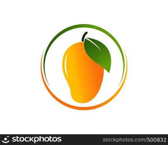 mango vector illustration logo icon