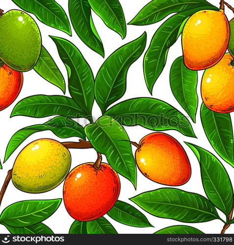 mango vector pattern on white background. mango vector pattern