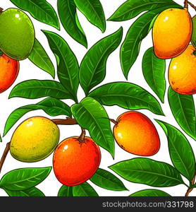 mango vector pattern on white background. mango vector pattern