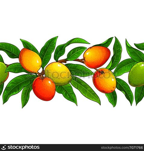 mango vector pattern on white background. mango vector pattern