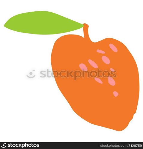 Mango with leaf hand drawn illustration in organic style isolated. Mango with leaf hand drawn illustration in organic style