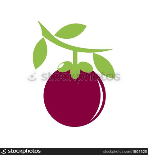 Mangosteen fruit icon logo vector design