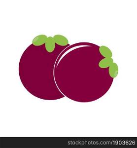 Mangosteen fruit icon logo vector design