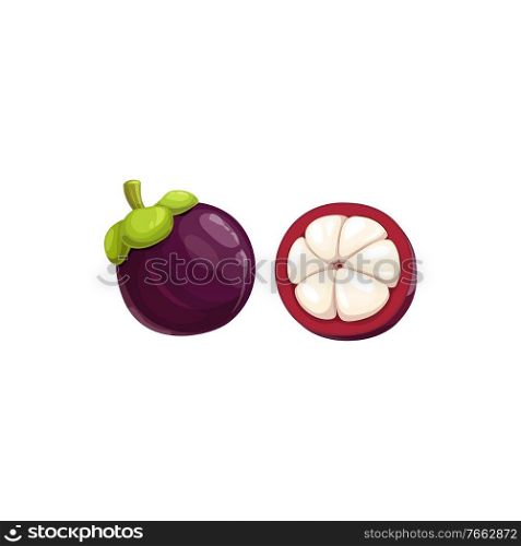 Mangosteen fruit, tropical exotic food, vector isolated icon. Mangosteen fruits whole and half cut with lobules, exotic fruits dessert and Asian tropic farm garden ripe harvest. Mangosteen fruit, tropical exotic fruits food