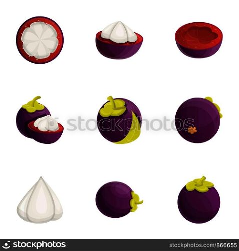 Mangosteen icon set. Cartoon set of 9 mangosteen vector icons for web design isolated on white background. Mangosteen icon set, cartoon style