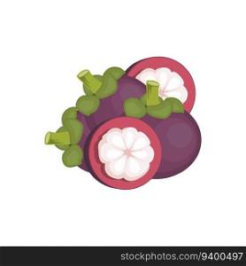 Mangosteen Logo, Health Fruit Design, Garden Farmer Vector, Symbol Element Template