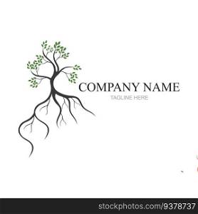 Mangrove trees and mangrove Forest Ecology Logo design vector