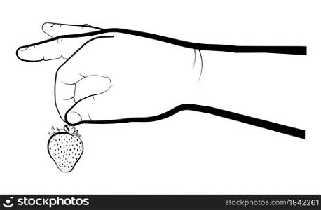 mans hand holds a strawberry. Summer berries, ripe juicy fruts. Cooking desserts. Isolated vector on white background