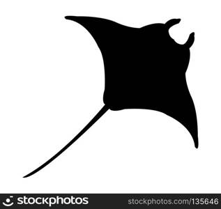 manta icon