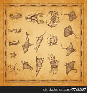 Manta ray, crab lobster and stingray, seahorse and starfish, walrus and narwhal with killer whale, vector sketch. Ancient map with marine fishes and animals, sea and ocean sailing scroll map elements. Manta ray, crab lobster and stingray sketch