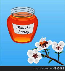 Manuka honey and A brunch of manuka blooming and a bee vector illustration