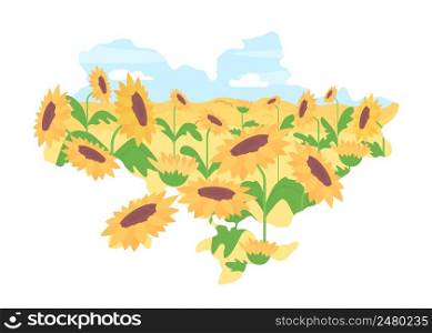 Map of Ukraine and sunflowers 2D vector isolated illustration. National Independence day flat objects on cartoon background. Ukrainian patriotism colourful scene for mobile, website, presentation. Map of Ukraine and sunflowers 2D vector isolated illustration