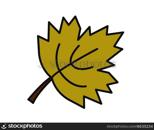 Maple green leaf flat style vector icon isolated on white. Autumn defoliation or canadian national symbol concept. Deciduous tree leaf cartoon illustration for applications, logos or web design. Maple Green Leaf Flat Vector Icon