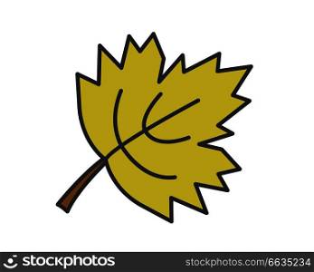 Maple green leaf flat style vector icon isolated on white. Autumn defoliation or canadian national symbol concept. Deciduous tree leaf cartoon illustration for applications, logos or web design. Maple Green Leaf Flat Vector Icon