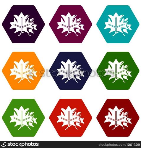 Maple icons 9 set coloful isolated on white for web. Maple icons set 9 vector