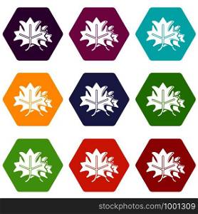 Maple icons 9 set coloful isolated on white for web. Maple icons set 9 vector
