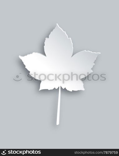 Maple leaf