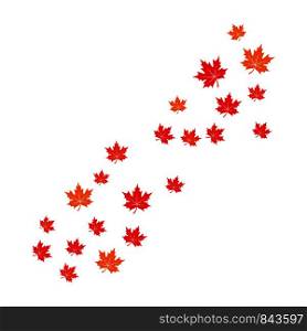 Maple leaf background vector illustration design