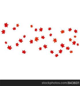 Maple leaf background vector illustration design