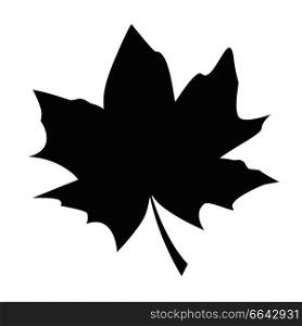 Maple leaf black silhouette autumn fallen object vector illustration in realistic design isolated on white. Fall foliage element, dark leafage vector. Maple Leaf Black Silhouette Autumn Fallen Object