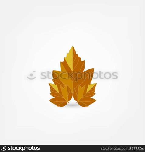 maple leaf icon