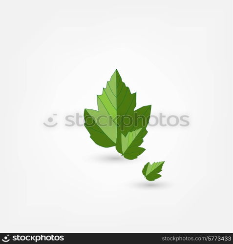 maple leaf icon