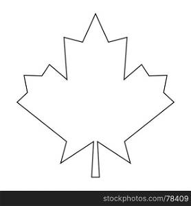 Maple leaf icon .