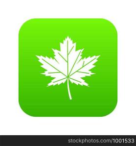 Maple leaf icon digital green for any design isolated on white vector illustration. Maple leaf icon digital green