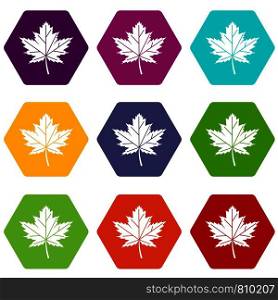 Maple leaf icon set many color hexahedron isolated on white vector illustration. Maple leaf icon set color hexahedron