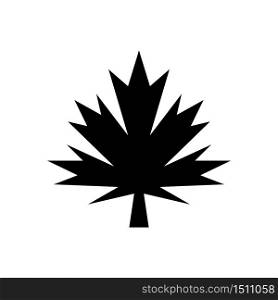 Maple leaf icon vector
