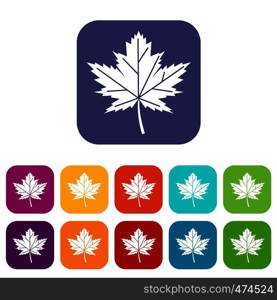 Maple leaf icons set vector illustration in flat style In colors red, blue, green and other. Maple leaf icons set