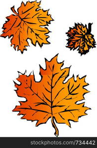 Maple leaf isolated on white background. Autumn background with leaves. Vector illustration.