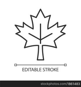 Maple leaf linear icon. Historic landmark. Central element of canadian national flag. Thin line customizable illustration. Contour symbol. Vector isolated outline drawing. Editable stroke. Maple leaf linear icon