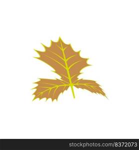 Maple leaf logo Template vector icon illustration design
