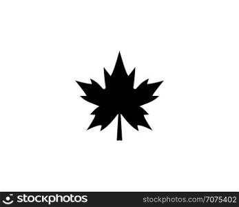 Maple leaf logo template vector icon illustration in flat design