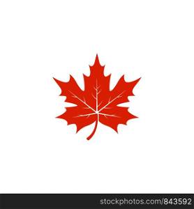 Maple leaf logo template vector icon illustration in flat design