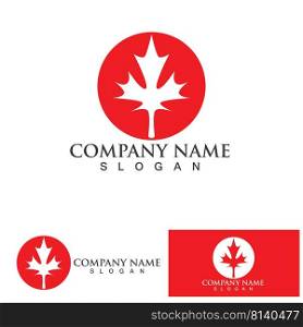 Maple leaf  logo vector illustration design template