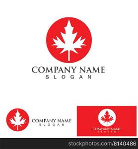 Maple leaf  logo vector illustration design template