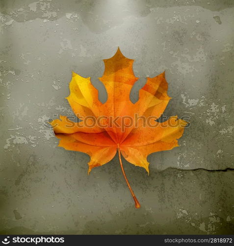 Maple leaf, old-style vector