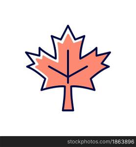 Maple leaf RGB color icon. Common used symbol of Canada. Historic sign and landmark. Central element of canadian national flag. Isolated vector illustration. Simple filled line drawing. Maple leaf RGB color icon
