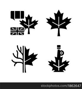 Maple leaf significance black glyph icons set on white space. National emblem of Canada. Historic maple leaf symbol. Bilingual country. Silhouette symbols. Vector isolated illustration. Maple leaf significance black glyph icons set on white space