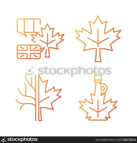 Maple leaf significance gradient linear vector icons set. National emblem of Canada. Maple leaf symbol. Bilingual country. Thin line contour symbols bundle. Isolated outline illustrations collection. Maple leaf significance gradient linear vector icons set