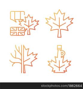 Maple leaf significance gradient linear vector icons set. National emblem of Canada. Maple leaf symbol. Bilingual country. Thin line contour symbols bundle. Isolated outline illustrations collection. Maple leaf significance gradient linear vector icons set